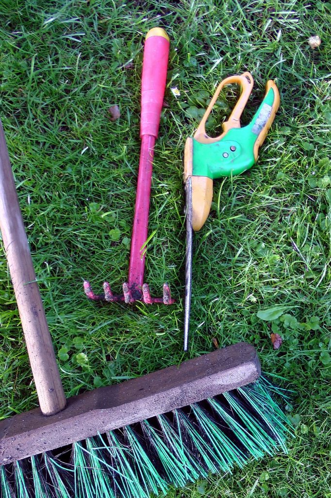 rose scissors, garden tools, allotment