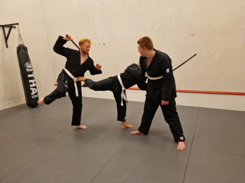 workshop taijutsu