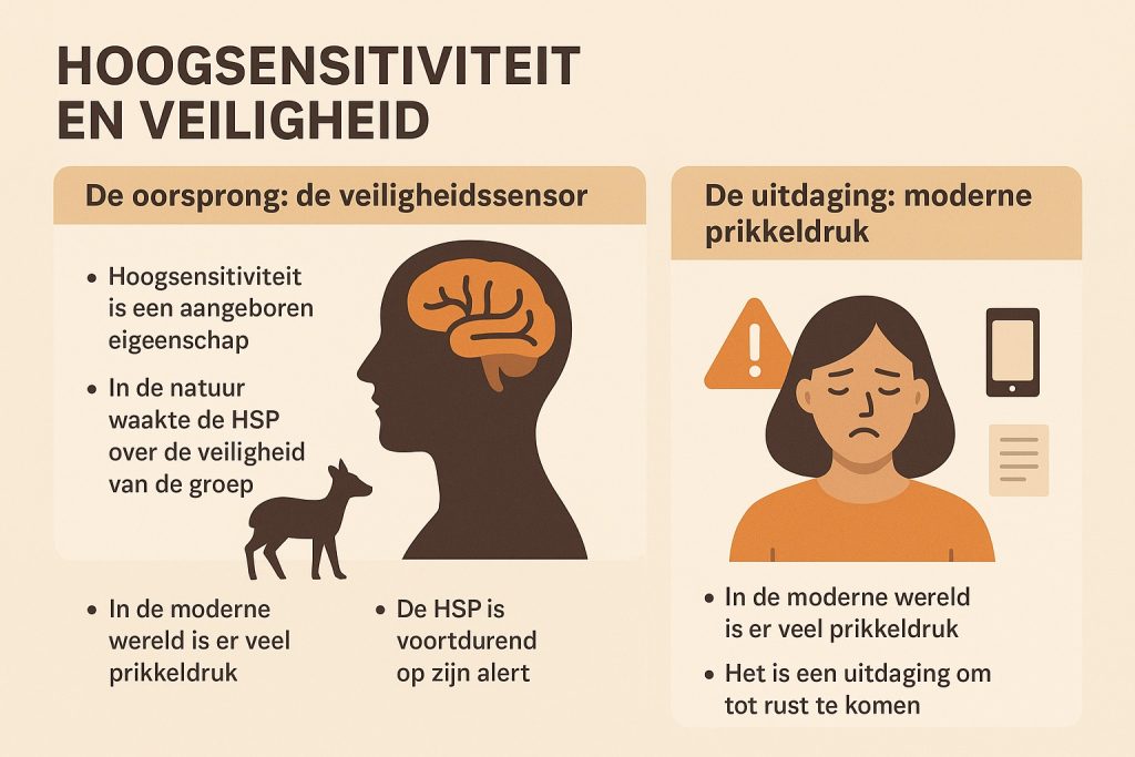 HSP en veiligheid